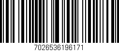 Código de barras (EAN, GTIN, SKU, ISBN): '7026536196171'
