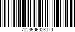 Código de barras (EAN, GTIN, SKU, ISBN): '7026536326073'