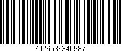 Código de barras (EAN, GTIN, SKU, ISBN): '7026536340987'