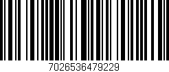 Código de barras (EAN, GTIN, SKU, ISBN): '7026536479229'