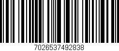 Código de barras (EAN, GTIN, SKU, ISBN): '7026537492838'