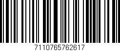 Código de barras (EAN, GTIN, SKU, ISBN): '7110765762617'