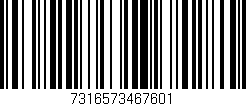 Código de barras (EAN, GTIN, SKU, ISBN): '7316573467601'