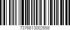 Código de barras (EAN, GTIN, SKU, ISBN): '7376813002658'