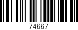 Código de barras (EAN, GTIN, SKU, ISBN): '74667'