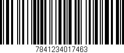 Código de barras (EAN, GTIN, SKU, ISBN): '7841234017463'