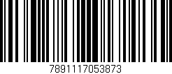 Código de barras (EAN, GTIN, SKU, ISBN): '7891117053873'