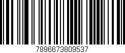 Código de barras (EAN, GTIN, SKU, ISBN): '7896673809537'