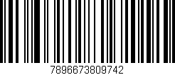 Código de barras (EAN, GTIN, SKU, ISBN): '7896673809742'