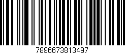 Código de barras (EAN, GTIN, SKU, ISBN): '7896673813497'