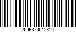 Código de barras (EAN, GTIN, SKU, ISBN): '7896673813619'