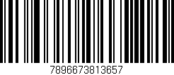 Código de barras (EAN, GTIN, SKU, ISBN): '7896673813657'