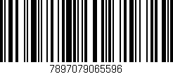 Código de barras (EAN, GTIN, SKU, ISBN): '7897079065596'