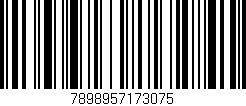 Código de barras (EAN, GTIN, SKU, ISBN): '7898957173075'
