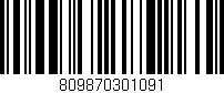 Código de barras (EAN, GTIN, SKU, ISBN): '809870301091'