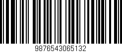 Código de barras (EAN, GTIN, SKU, ISBN): '9876543065132'