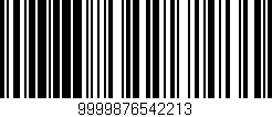 Código de barras (EAN, GTIN, SKU, ISBN): '9999876542213'