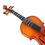 1 Violino Violino Escala De Entonação Adesivos Etiquetas Dedilhado 1/2