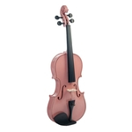 4/4 Kit De Violino Acústico Com Caso Arco Rosin