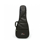 AVS Bags - Bag Para Guitarra Executive BIC006 ET
