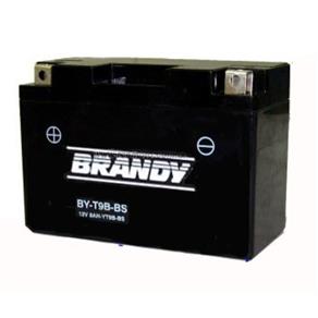 Bateria Brandy Yt9B-Bs By-Gt9B Gel 0835 Mt03 / Xt660 85462