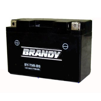 Bateria Brandy Yt9b-bs By-gt9b Gel 0835 Mt03 / Xt660