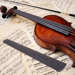 Black Violin Ebony Pre-Shaped Fingerboard for 4/4 Full Size Violins High Quality