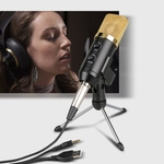 BM700 Microfone Condensador Profissional Para Microfone De Gravação Podcast Com Suporte