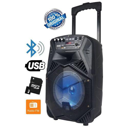 Caixa De Som Amplificada Rodinha Bluetooth Rádio Fm Usb Sd Saída Auxiliar 100W Bivolt Vicini VC-7101