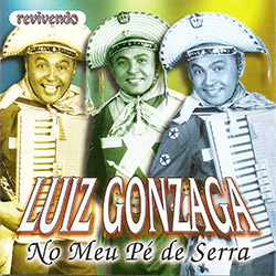 CD Luiz Gonzaga - no Meu Pé de Serra