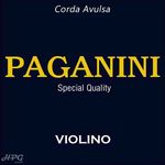 Corda Avulsa Violino 3/4 e 4/4 Paganini 3ª Re D
