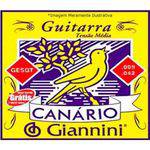 Corda de Aco Canario Geegst9.3 para Guitarra com Bolinha 3a Corda Giannini