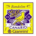 Encordoamento Bandolim Giannini Canario Com Chenilha Mandolim
