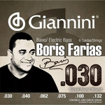 Encordoamento De Contrabaixo 6 Cordas Boris Farias Giannini