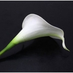 Eforstore New 13` Mini lírio de Calla Ramalhete nupcial Wedding Cabeça de látex toque real flor flores Bouquets Artificial (10pcs, branco)