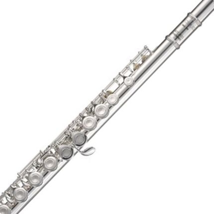 Flauta Transversal Afinação Dó com Case Wflm35 Michael