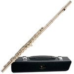 Flauta Transversal Com Case Fl03n Eagle Niquelada