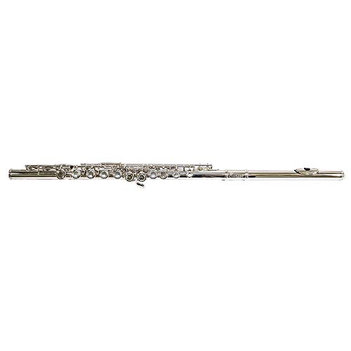 Flauta Transversal em C Niquelada BFT-1n Benson