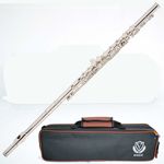 Flauta Transversal Fl03s Prateada em Dó Eagle + Case Luxo