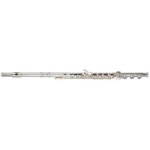 Flauta Transversal WFLM37 C Prateada - Michael