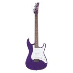 Guitarra Seizi Vision Escala Rw C Escudo Branco Perolado - Metallic Dark Purple
