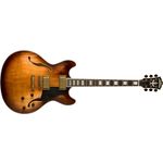 Guitarra Semi Acustica Vintage com Case Hb36 - Washburn Pro-sh