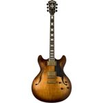 Guitarra Semi Acustica Vintage Hb36 - Washburn