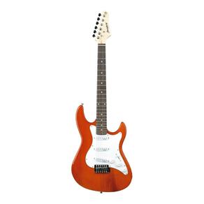 Guitarra Strato Caster Strinberg EGS 216 TWR