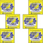 Kit 6 Encordoamento para Cavaquinho Canário Aço Giannini