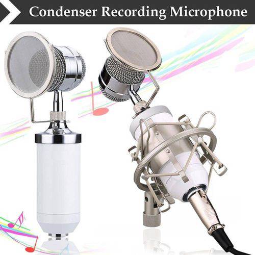 Microfone Condensador Bm 8000 BM8000 com Aranha e Pop Filter