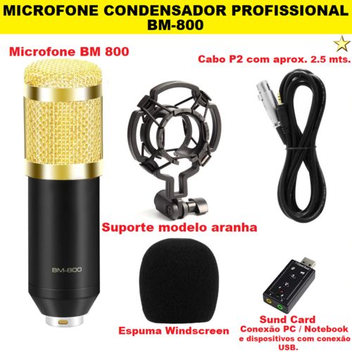 Microfone Condensador Profissional Bm800 Preto/Dourado com Aranha
