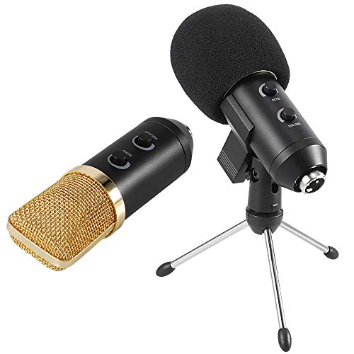 Microfone Condensador Usb Estudio Bm100Fx com Pedestal Articulado Gt648 - Lorben