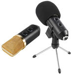 Microfone Condensador Usb Estudio BM100FX + Pedestal Articulado GT648 - Lorben