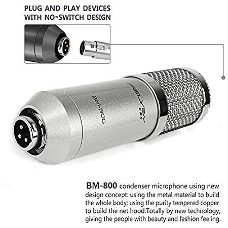Microfone Estúdio Profissional Bm800 Condensador Phantom (Silvery)